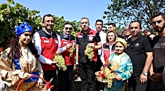 Bakan Yardımcısı Gökçeada'da Üzüm Hasadına Katıldı