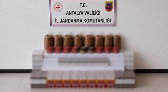Manavgat'ta kaçak tütün operasyonu