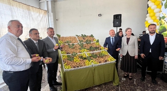 Nazilli'de İlk Kuru İncir 1000 Liradan Alındı