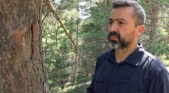 Sarıkamış'ta 25 ayı kaşınma ağacı kayıt altında
