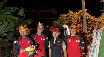 Alanya'da kuyuya düşen kedi kurtarıldı