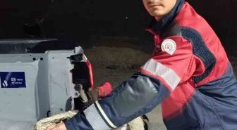 Arsuz'da Yorgun Leylek İtfaiye Ekiplerince Kurtarıldı