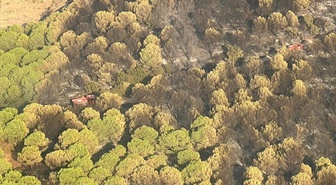 Aydın Çine'de yangın: 5 helikopter 6 uçakla müdahale