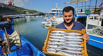Karadeniz'de balık bolluğu: Palamut, hamsi ve mezgit tezgahlarda