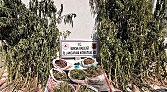 Karacabey'de Büyük Uyuşturucu Operasyonu