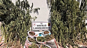 Karacabey'de Büyük Uyuşturucu Operasyonu: 3 Gözaltı