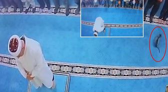 Namazda tekmelediği kedi imamın başına çarptı! Şüpheli gözaltına alındı