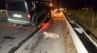 Köpeğe Çarpan Araç Devrildi: Zincirleme Kaza