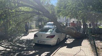 Niğde'de Ağaç Park Halindeki Otomobilin Üzerine Devrildi