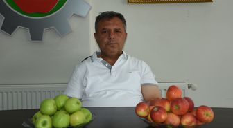 Niğde'de Elma Hasadı Başladı: 12 Ülkeye İhracat Hedefi