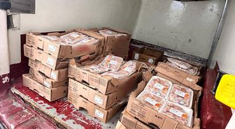 Adapazarı'nda Tarihi Geçmiş 140 Kilo Tavuk İmha Edildi