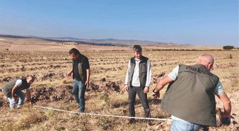 Yozgat'ta 50 Hektarlık Alanda Yeni Ağaçlandırma Planı