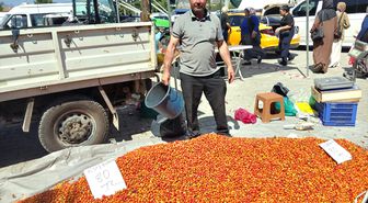 Taşova'da Kuşburnu Pazarı İlgi Görüyor