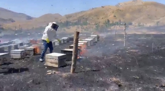 Adıyaman'da yangın: 200 arı kovanı kül oldu