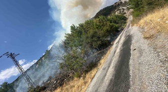 Akseki'de Orman Yangınına Havadan ve Karadan Müdahale