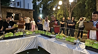 Alaşehir Festivali'nde Sepet Çekme ve Üzüm Yarışmaları