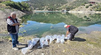 Ziyaret Göleti'ne 100 Bin Sazan Yavrusu Bırakıldı