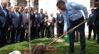 Bakan Çiftçi Bilecik'te Çınar Fidanı Dikti