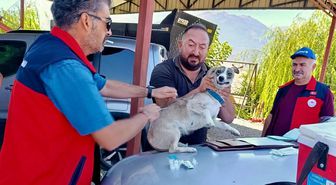 Çay'da Evcil Hayvanlara Kimlik ve Kuduz Aşısı