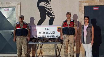 Hatay'da 7 arı şahini avlayana 1,3 milyon TL tazminat