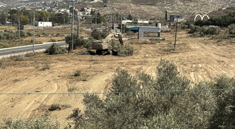 İsrail, Cenin'de zeytin ağaçlarını söküyor