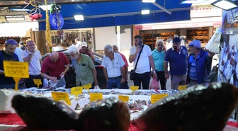 Samsun'da Palamut Bolluğu: Fiyatlar 80 TL'ye Düştü