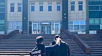 Kars'ta Bonzai Hammaddesi Operasyonu: 1 Gözaltı