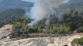 Milas'ta Orman Yangınına Havadan ve Karadan Müdahale