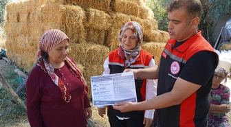 Muğla'da Yeni Doğan Buzağılara 24 Saat İçinde Müdahale