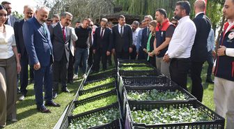 Şırnak'ta çiftçilere 152 bin kışlık sebze fidesi dağıtıldı
