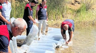 Tunceli'ye 450 bin sazan yavrusu bırakıldı