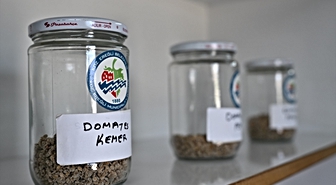 Ereğli'de 2027'de 400 bin ata tohum dağıtılacak