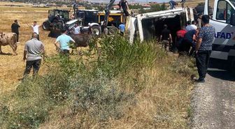 Kırşehir'de Hayvan Yüklü Tır Devrildi
