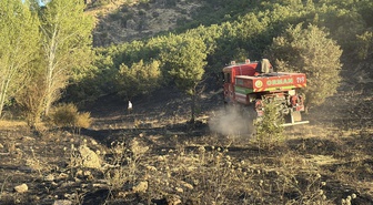 Elazığ'da Orman Yangını Kontrol Altına Alındı