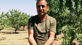 Kayseri'de 16 yıl önce merak edip başladı! Şimdi 20 bin ağacın sahibi