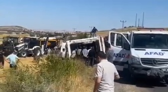 Kırşehir'de Hayvan Yüklü TIR Devrildi: 4 Büyükbaş Öldü
