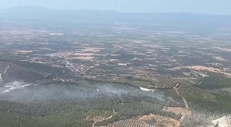 Manisa Soma'da Orman Yangını: Havadan ve Karadan Müdahale Sürüyor
