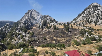 Alanya'da zirai yangın kontrol altında