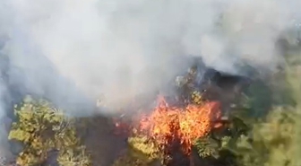 Bursa'da Anız Yangını Ormana Sıçradı: 3 Hava Aracıyla Müdahale