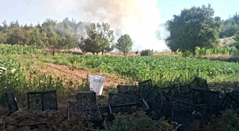 Kestel'de Orman Yangınına Havadan ve Karadan Müdahale