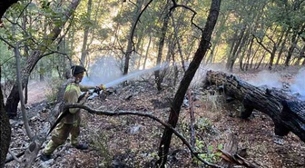 Dalaman'da orman yangını kontrol altına alındı