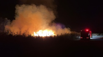 İznik'te sazlık yangını korkuttu