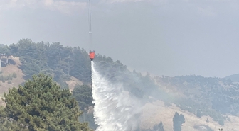 Kahramanmaraş'ta Orman Yangını: 70 Personel Müdahale Ediyor