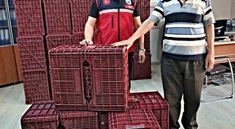 Köşk'te İncir Üreticilerine Plastik Kasa Desteği