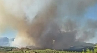 Adana'da 2 farklı bölgede orman yangını