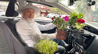 Ankaralı taksicinin aracındaki 'mini sera' müşterilerin ilgi odağı oldu