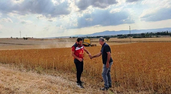Çavdarhisar'da yüzde 75 hibeli aspir hasadı yapıldı