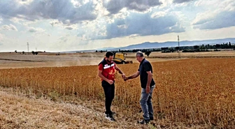 Çavdarhisar'da yüzde 75 hibeli aspir hasadı yapıldı