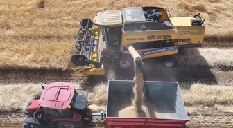 Erzincan'da Baraj Suları Tarımı Bereketlendirdi, Hasat Heyecanı Sürüyor