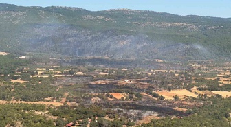 Muğla'da orman yangını kontrol altında: 5 sortide 90 saniyede 15 ton su